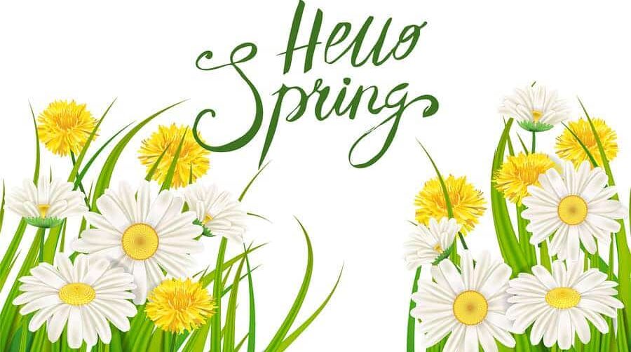 Hello spring 1